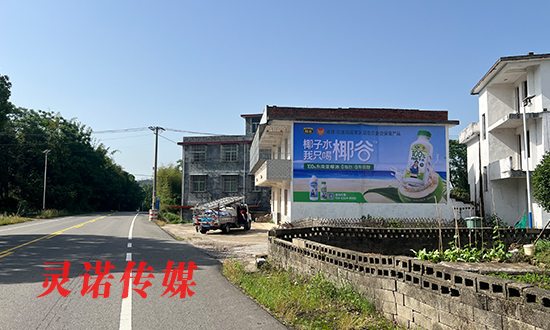 乡镇广告投放技巧｜墙体喷绘三大核心，助品牌少走弯路
